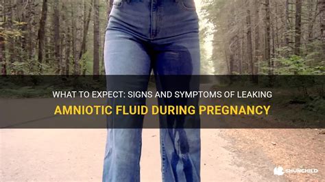 symptoms of leaking amniotic fluid|Amniotic Fluid: What is It and Signs of Leaking